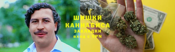 винт Гусь-Хрустальный