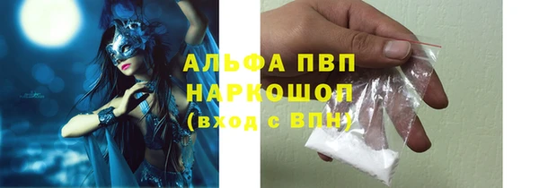 винт Гусь-Хрустальный