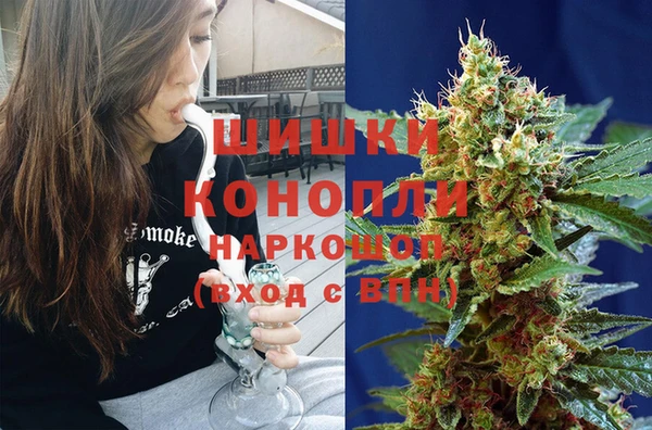 винт Гусь-Хрустальный