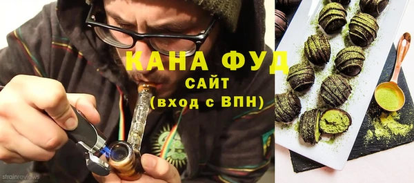 винт Гусь-Хрустальный