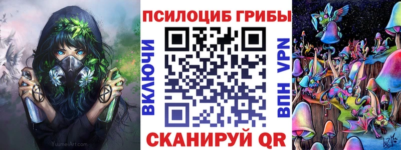 цена   Лахденпохья  Галлюциногенные грибы Psilocybe 